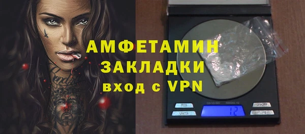 мдпв Дмитриев