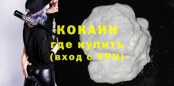 мдпв Дмитриев