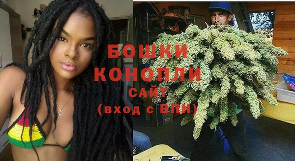 мдпв Дмитриев